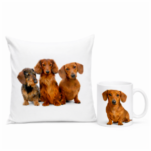 Poduszka i kubek z Jamnikami