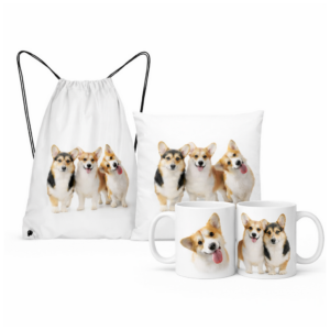 Zestaw z psami Corgi