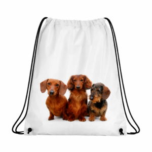 Worek Plecak z psami Jamniki