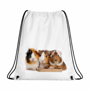 Worek Plecak ze Świnką morską