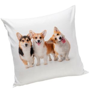 Poduszka z psem Corgi