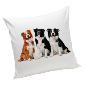 Poduszka z psem Border Collie