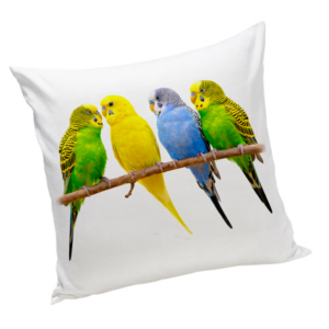 Poduszka z papużkami falistymi