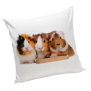 Poduszka ze Świnką morską