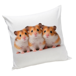 Poduszka z Chomikami