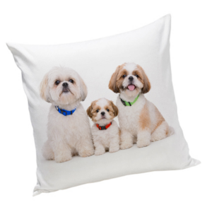 Poduszka z psem Shih tzu