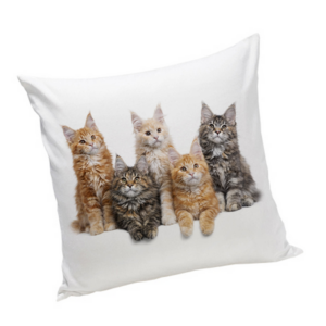 Poduszka z Kotami Maine Coon