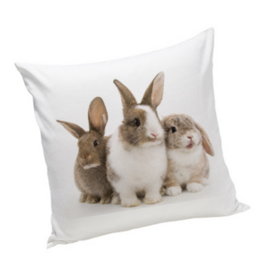 Poduszka z Królikiem
