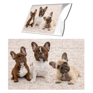 Puzzle z pieskami Buldog Francuski 35 elementów