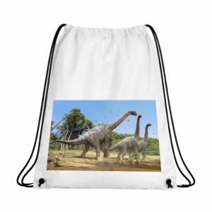 Worek Plecak z Dinozaurami