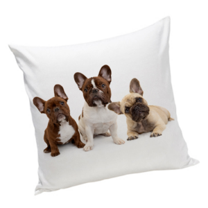 Poduszka z pieskiem Buldog Francuski
