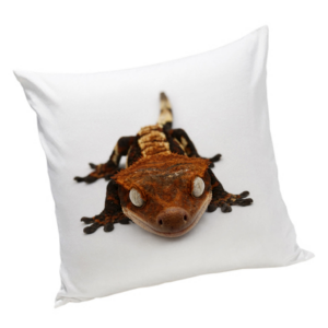 Poduszka z Gekonem Orzęsionym