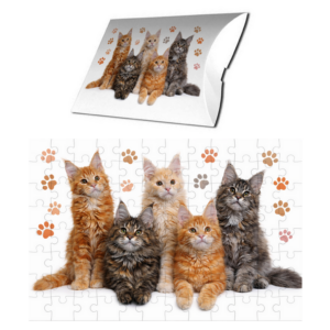 Puzzle z kotami Maine Coon 70 elementów