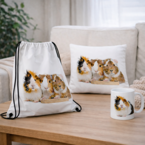 Zestaw ze świnkami morskimi