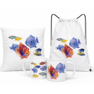 Zestaw z rybami akwariowymi Pyszczaki