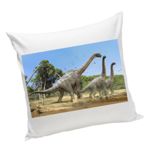 Poduszka z Dinozaurami