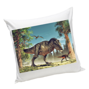 Poduszka z Dinozaurami