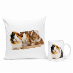 Poduszka i kubek ze Świnką morską