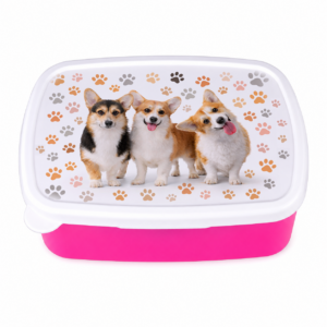 Śniadaniówka CORGI pies psy Lunchbox