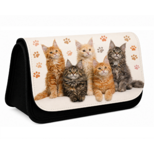 Piórnik Kosmetyczka z Klapką Maine Coon kot koty